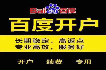 SEM服务托管实战案例：提升品牌知名度